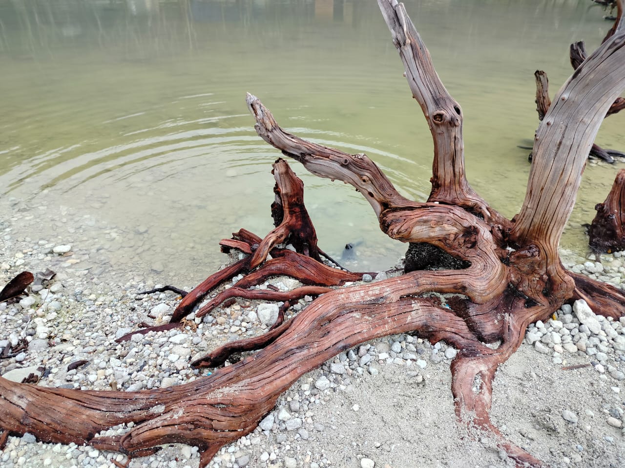 IMG-20250513-WA0009
