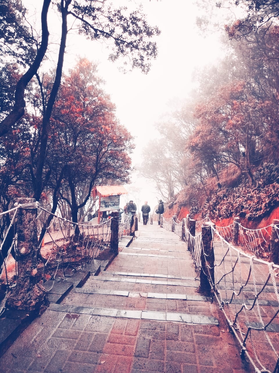 IMG-20250523-WA0002