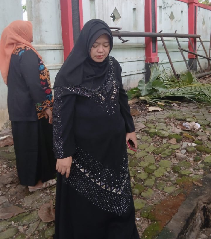 Panatau BMN 1